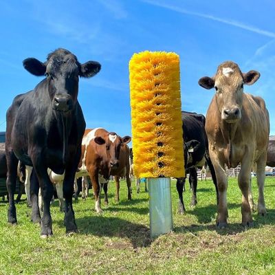 牛ブラシ 畜産 家畜 牛のための 掻きブラシ