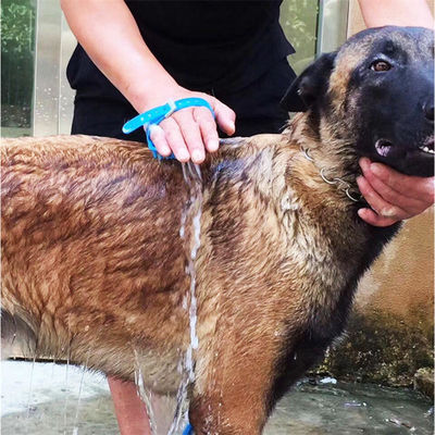 ODM シリコンPETクリーニングブラシ 自浄猫 メンテージブラシ 犬用
